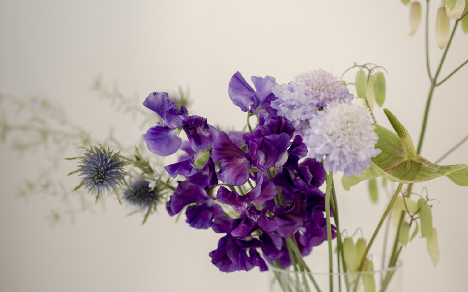 シンプルライフブログ　紫のお花を飾ってみた