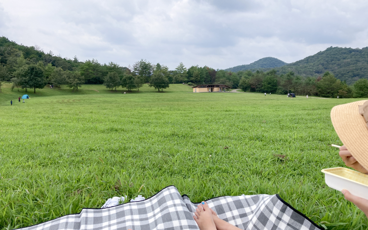 芝生の公園でピクニックを満喫する　シンプルライフブログ